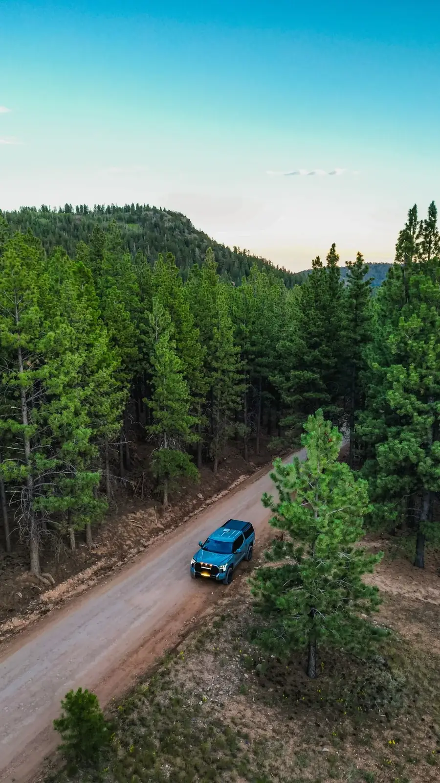 Aerial view of forest road
