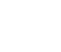 Veritas Vans